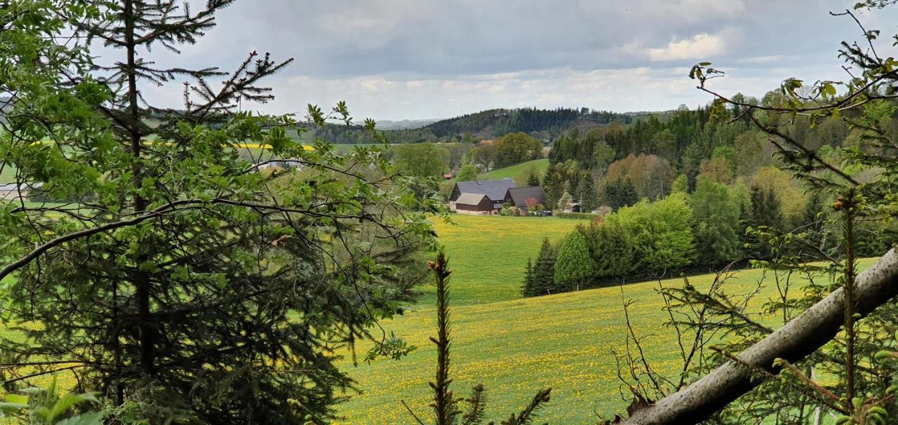 Zum Elleblick Apartman Frauenstein  Kültér fotó