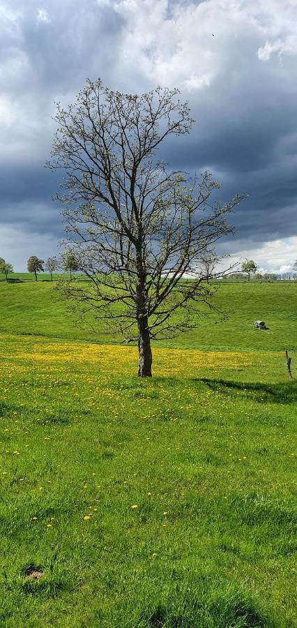Zum Elleblick Apartman Frauenstein  Kültér fotó