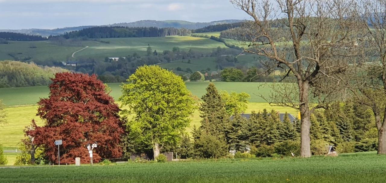Zum Elleblick Apartman Frauenstein  Kültér fotó