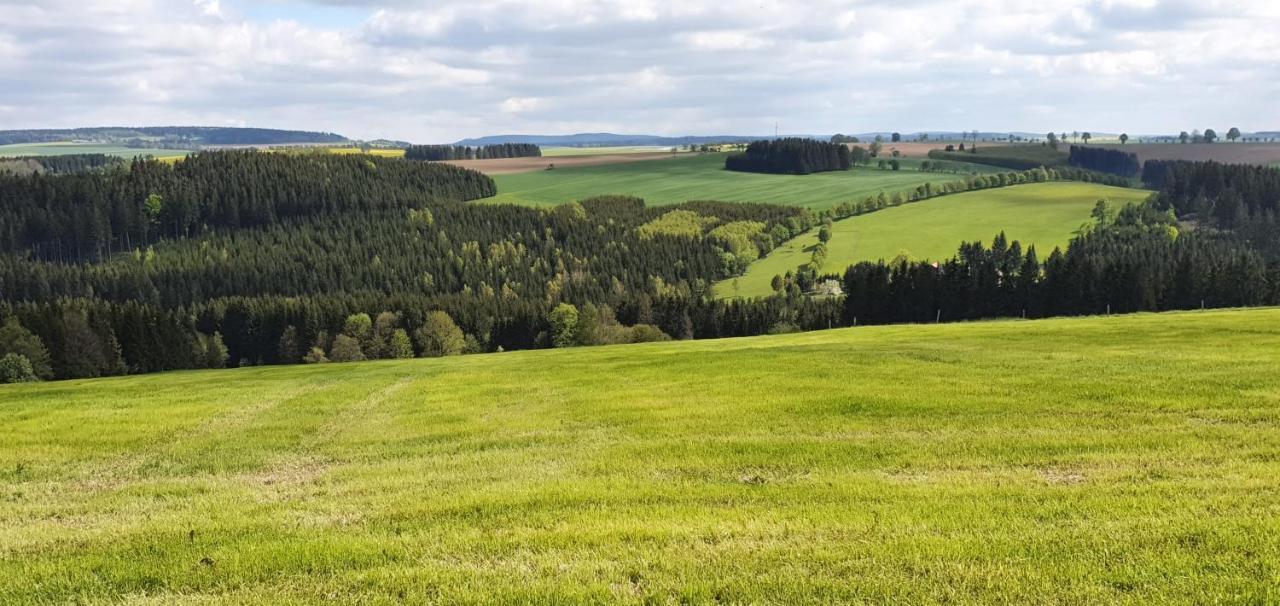 Zum Elleblick Apartman Frauenstein  Kültér fotó