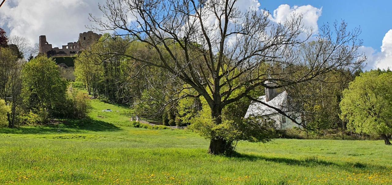 Zum Elleblick Apartman Frauenstein  Kültér fotó