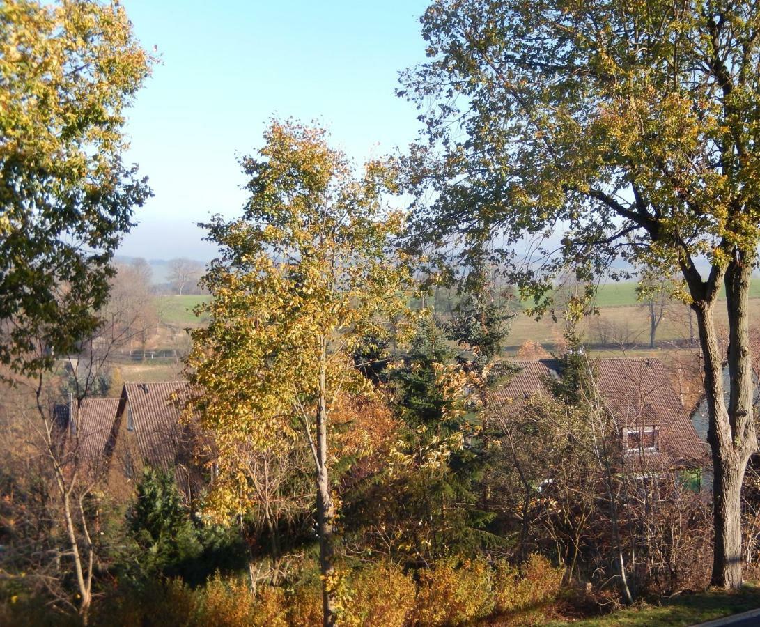 Zum Elleblick Apartman Frauenstein  Kültér fotó